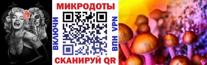 Псилоцибиновые грибы Psilocybe  где можно купить наркотик  Тверь 