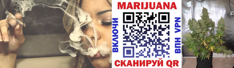 Шишки марихуана Amnesia  как найти наркотики  Тверь 